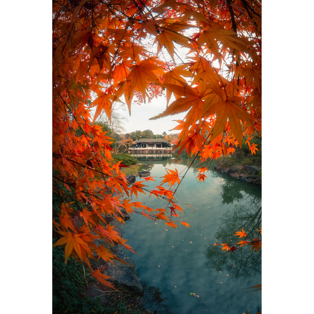 Lente 7Artisans 7.5mm f/2.8 II Fisheye para Sony E-Mount Lens 12