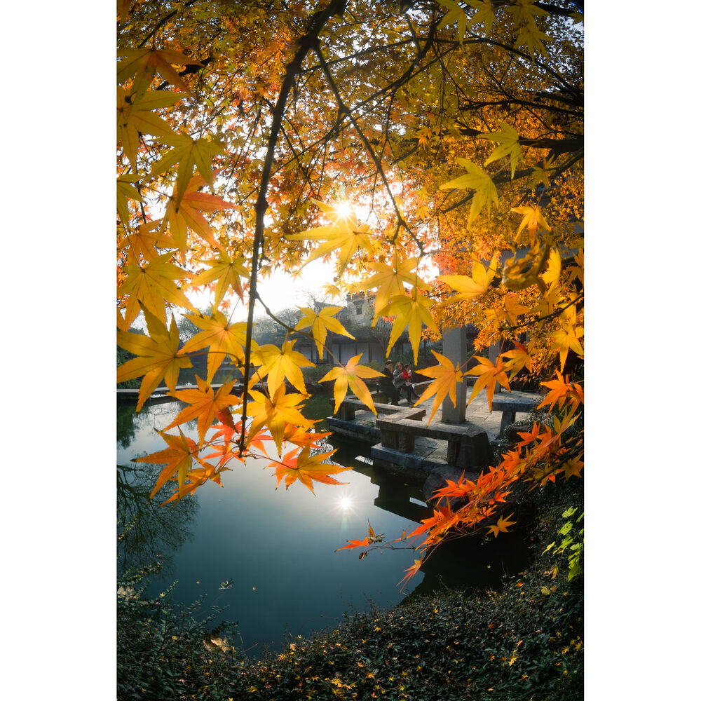 Lente 7Artisans 7.5mm f/2.8 II Fisheye para Sony E-Mount Lens 19