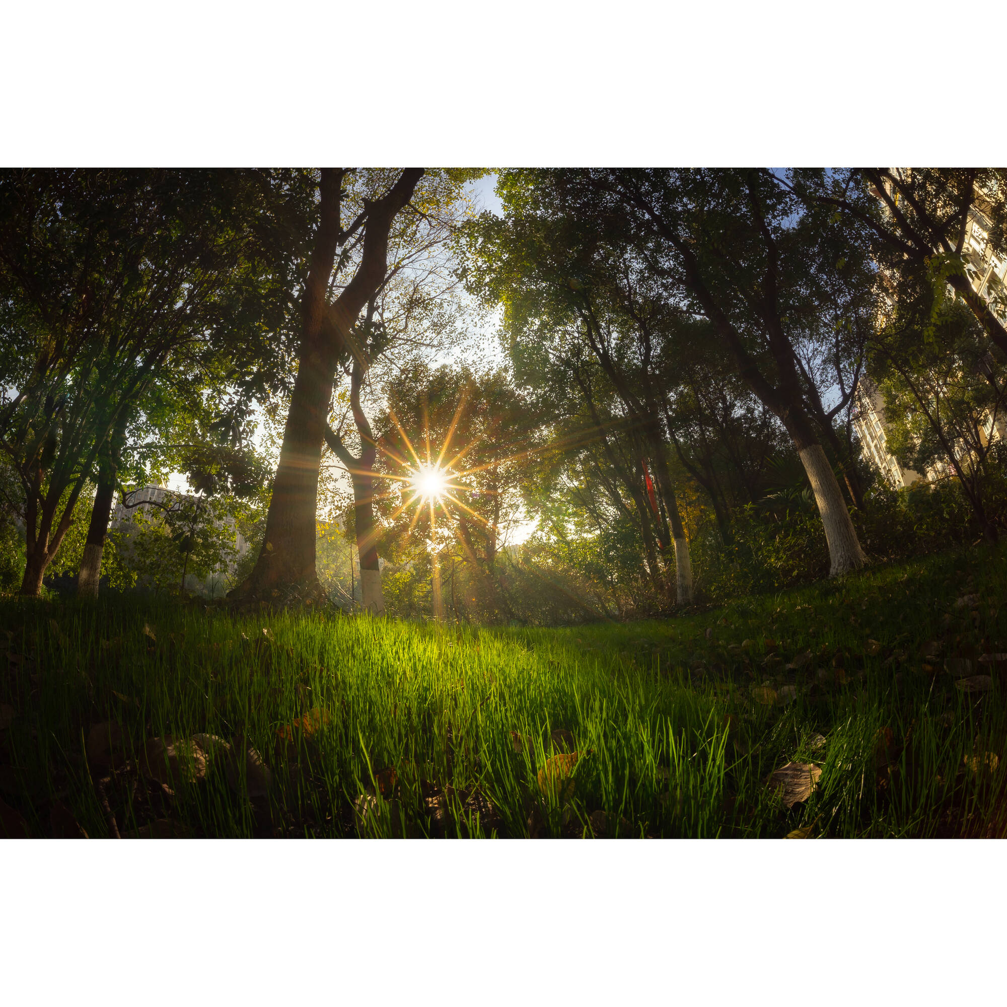 Lente 7Artisans 7.5mm f/2.8 II Fisheye para Sony E-Mount Lens 22