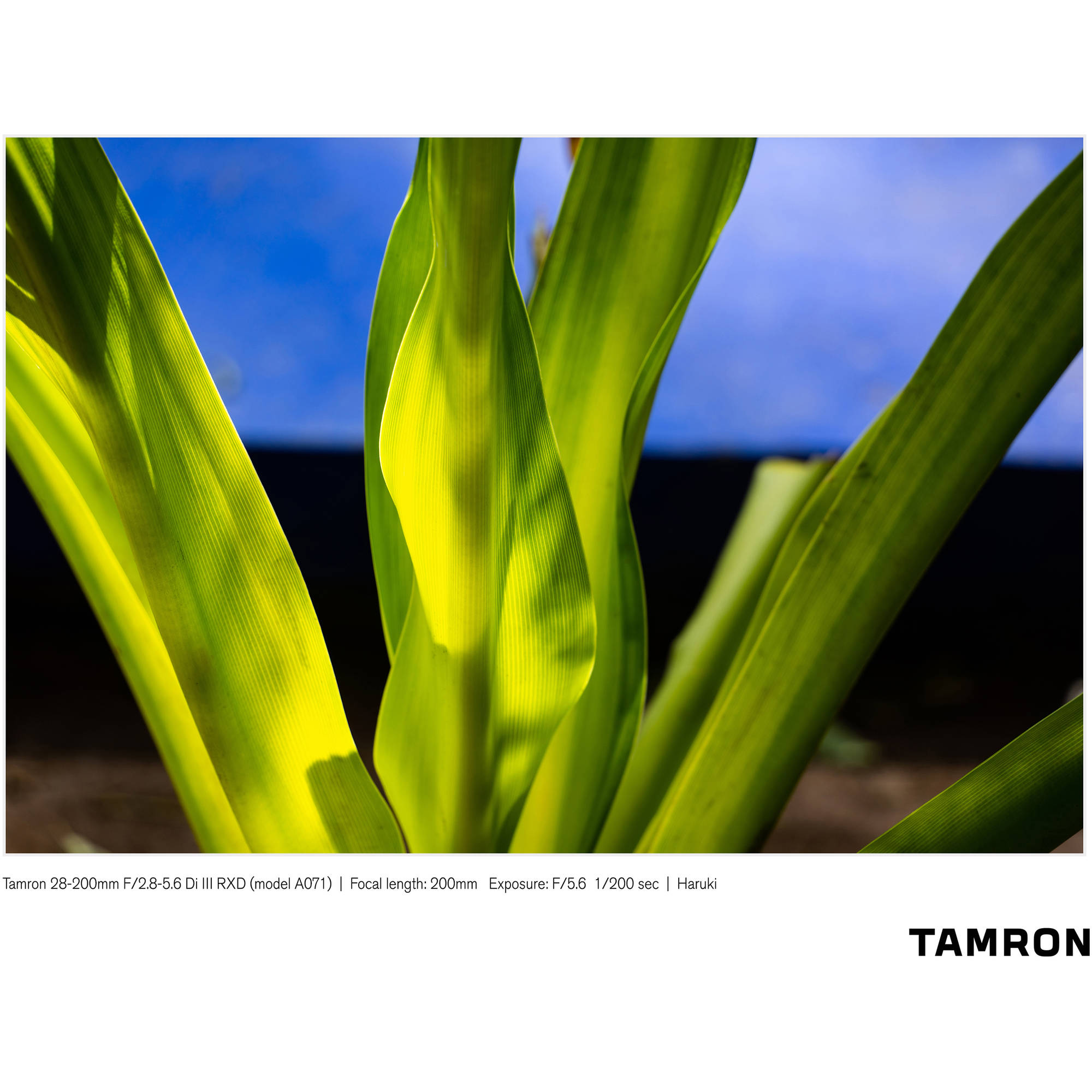 Lente Tamron 28-200mm f/2.8-5.6 Di III RXD Lens para Sony E-Mount 06