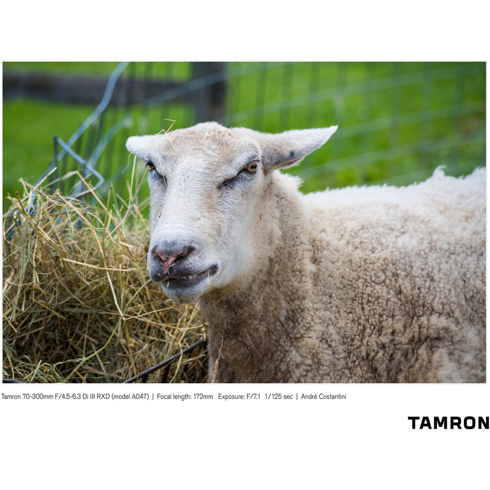 Lente Tamron 70-300mm f/4.5-6.3 Di III RXD Lens para Sony E-Mount 06