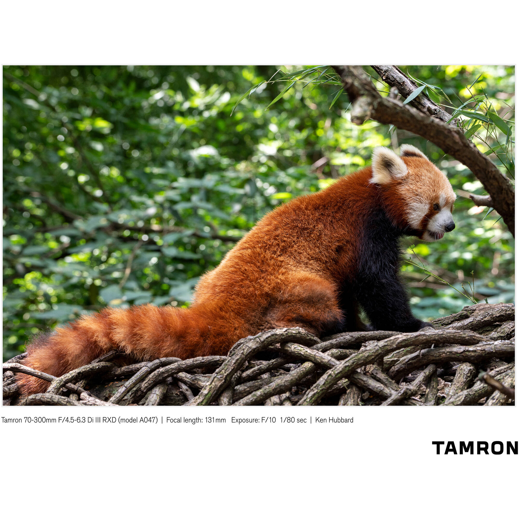 Lente Tamron 70-300mm f/4.5-6.3 Di III RXD Lens para Sony E-Mount 08