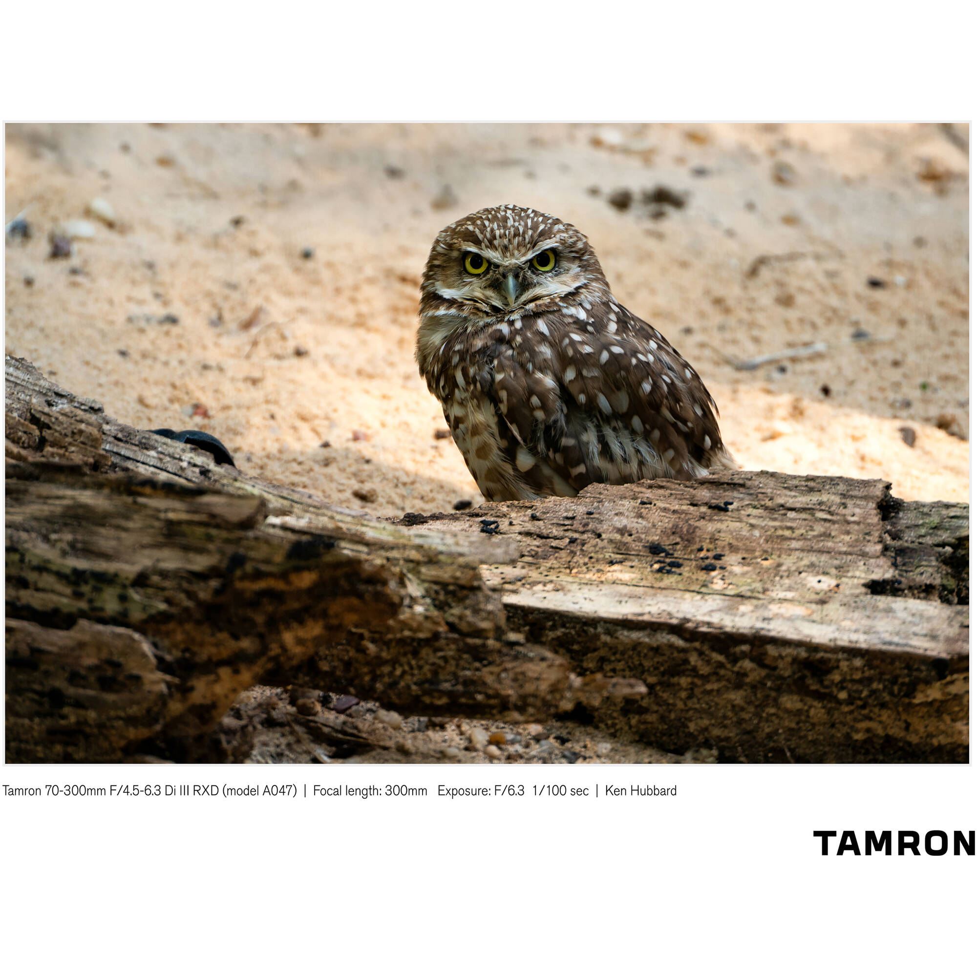 Lente Tamron 70-300mm f/4.5-6.3 Di III RXD Lens para Sony E-Mount 09