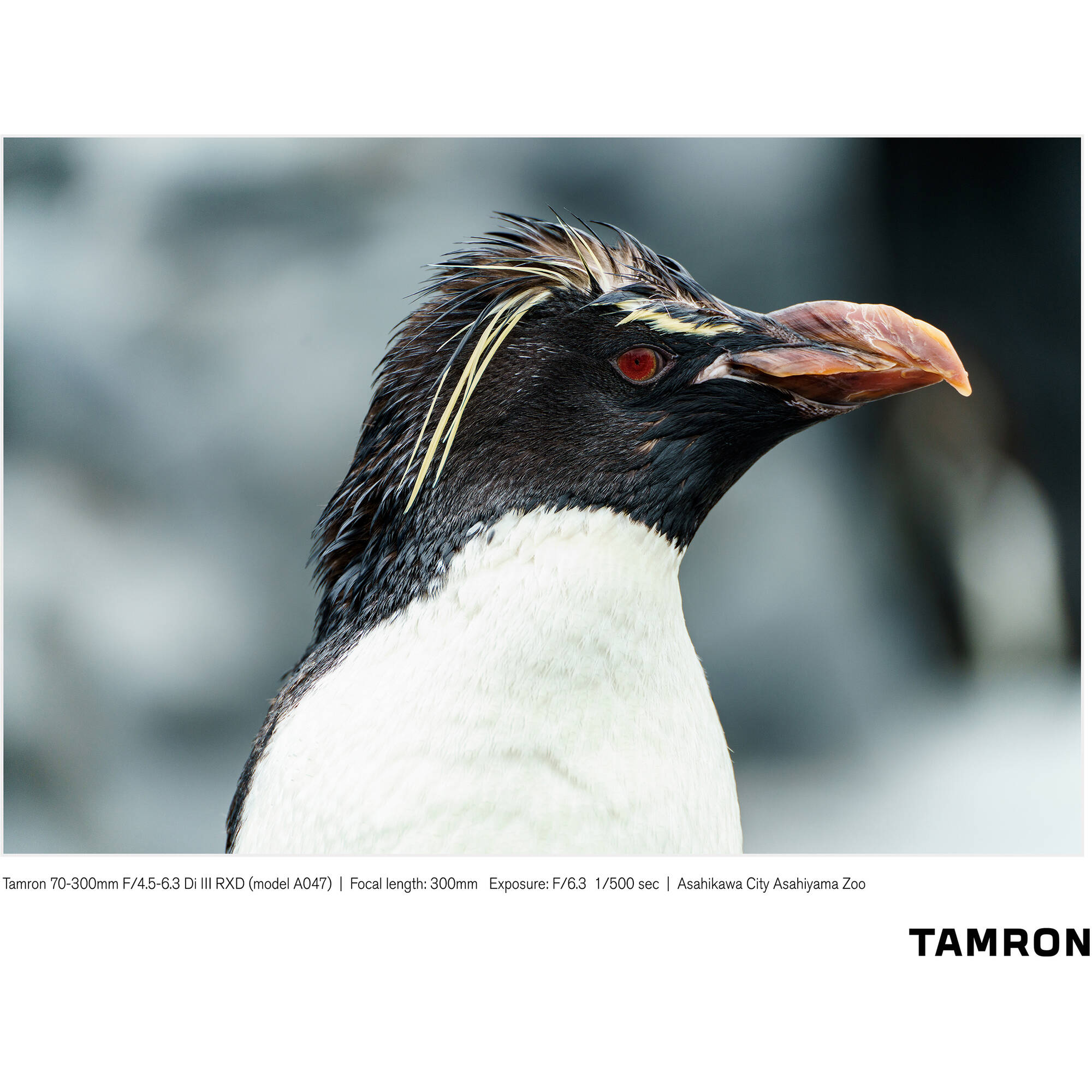 Lente Tamron 70-300mm f/4.5-6.3 Di III RXD Lens para Sony E-Mount 12