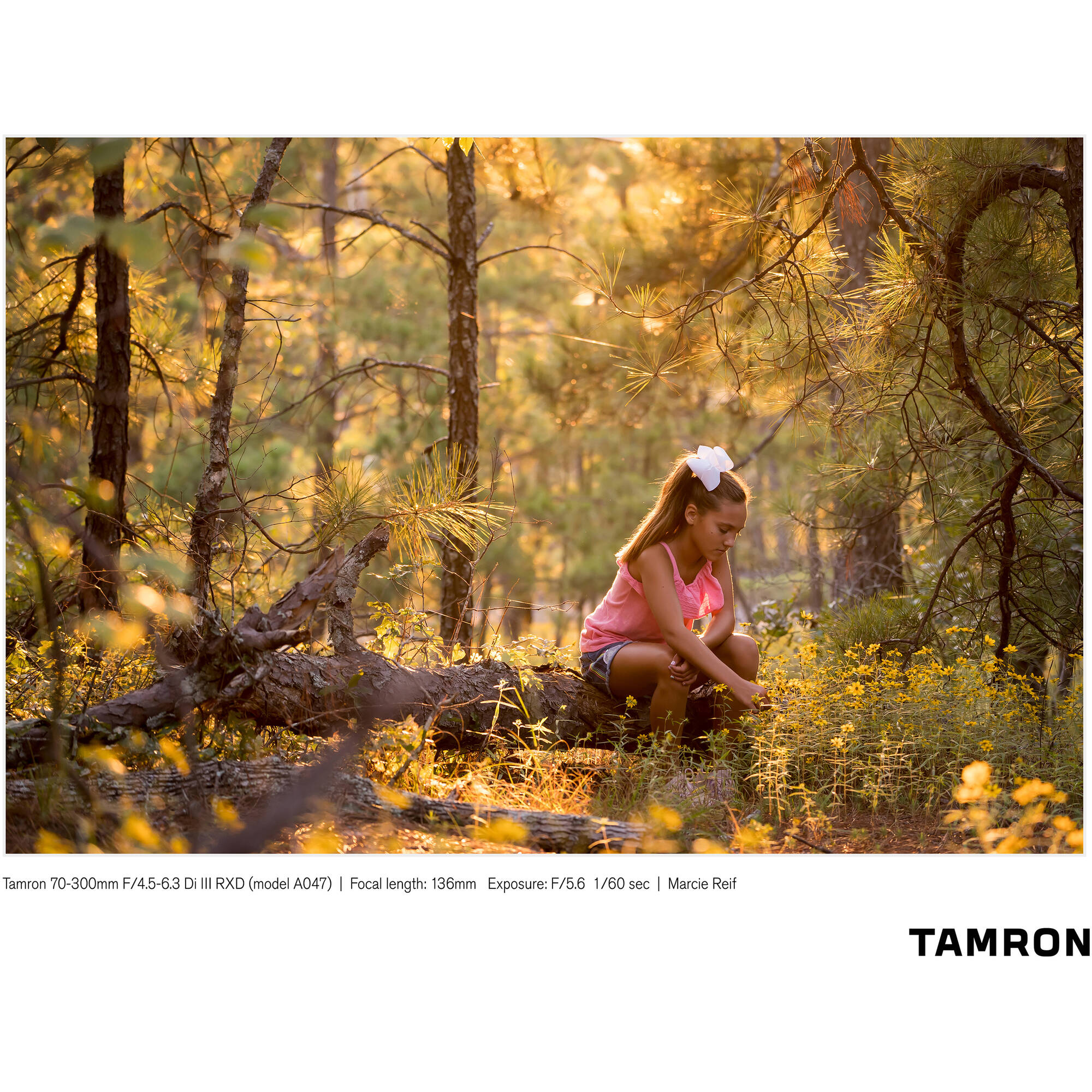 Lente Tamron 70-300mm f/4.5-6.3 Di III RXD Lens para Sony E-Mount 13