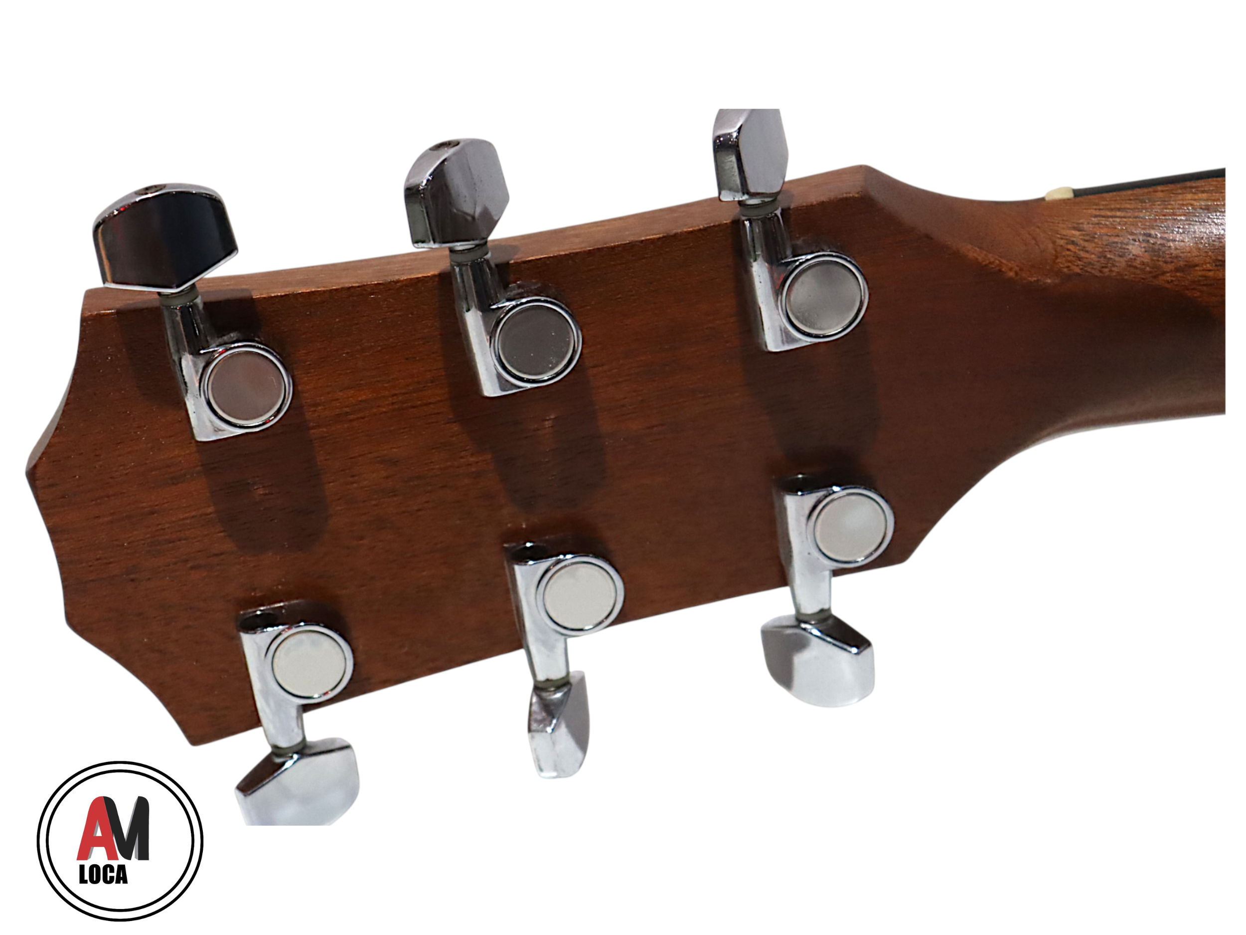 LOCAÇÃO VIOLAO TAYLOR 110CE ACO NATURAL COD761