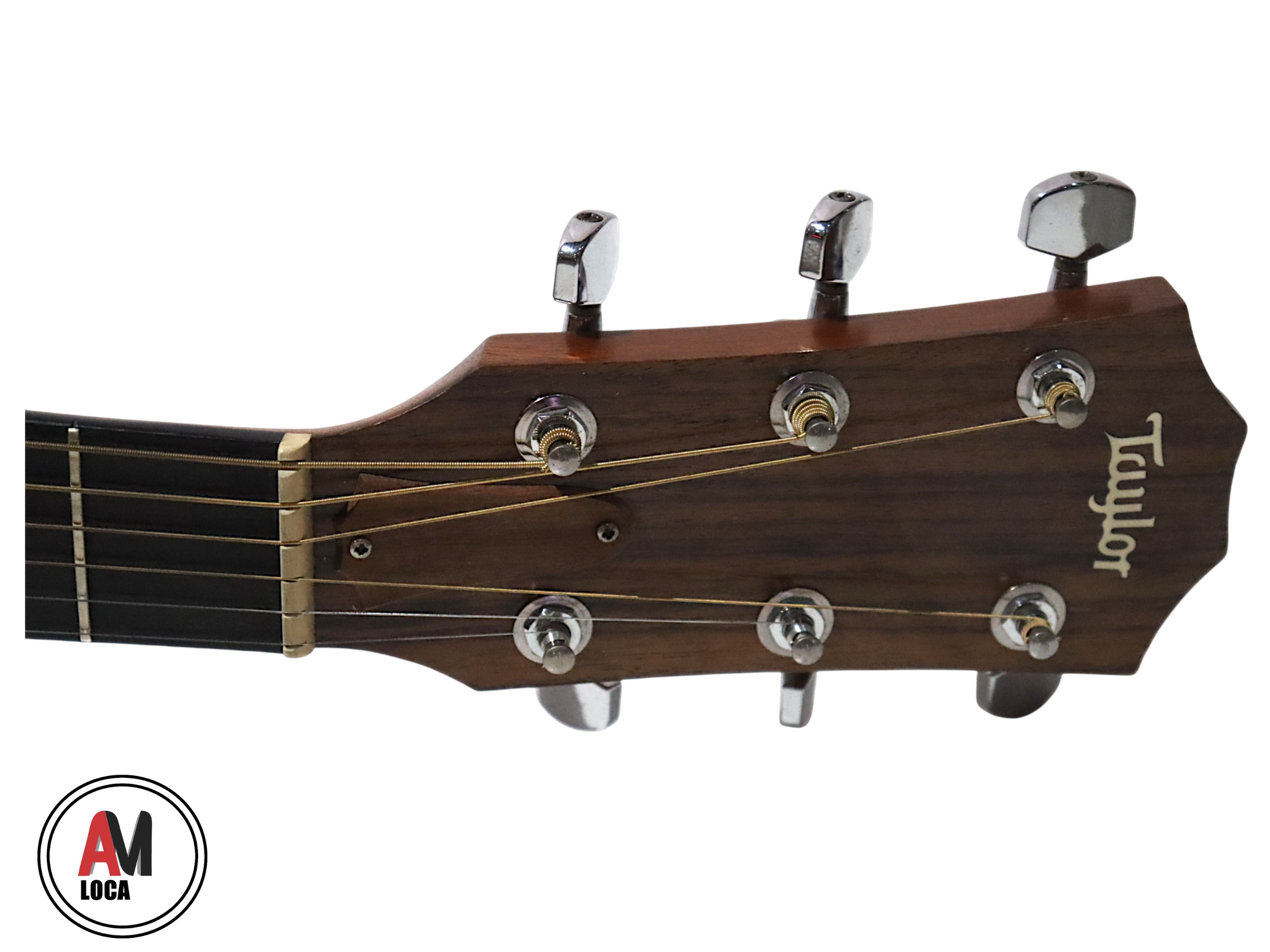 LOCAÇÃO VIOLAO TAYLOR 110CE ACO NATURAL COD761