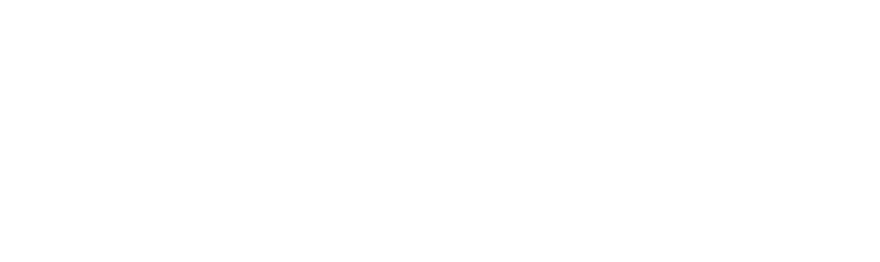 Tecnogera