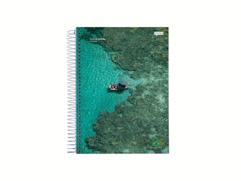 CADERNO 1/4 ESPIRAL CAPA FLEX 96FLS BRASILIDADES JANDAIA