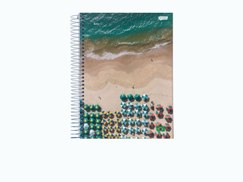 CADERNO 1/4 ESPIRAL CAPA FLEX 96FLS BRASILIDADES JANDAIA
