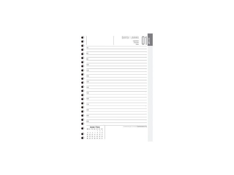 AGENDA ANUAL CADERNO ESP COLORS C/192FLS SD ANIMATIVA