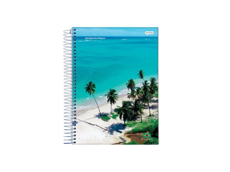 CADERNO ESPIRAL UNIV C/D 1X1 96FLS BRASILIDADE