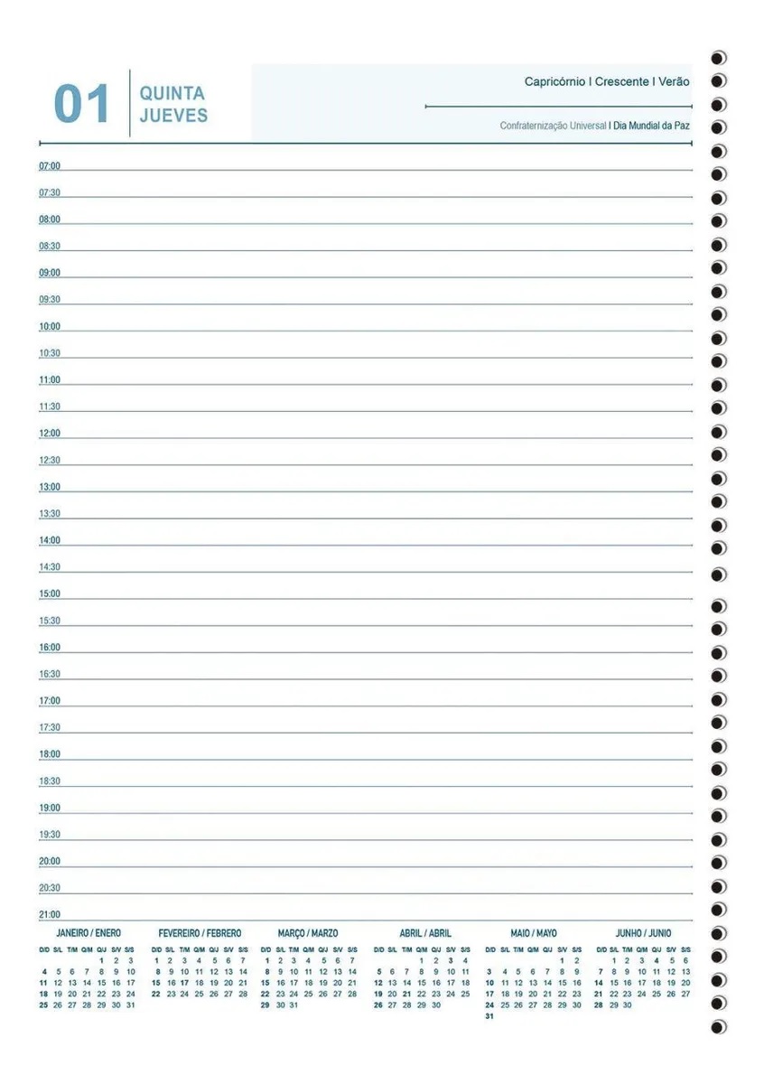 AGENDA ANUAL CADERNO ESP TRADE PLUS C/196FLS ANIMATIVA